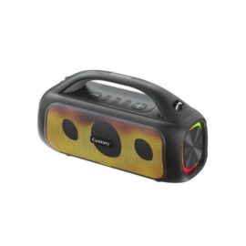 Century Soundit Series Bluetooth Speaker CSK-1300B
